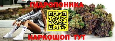 индика Берёзовский