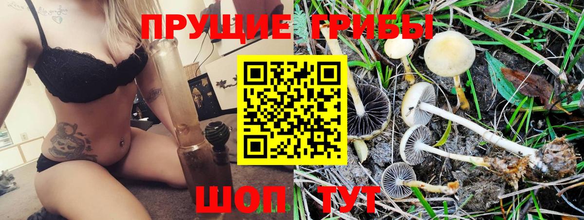 Галлюциногенные грибы прущие грибы Каменка
