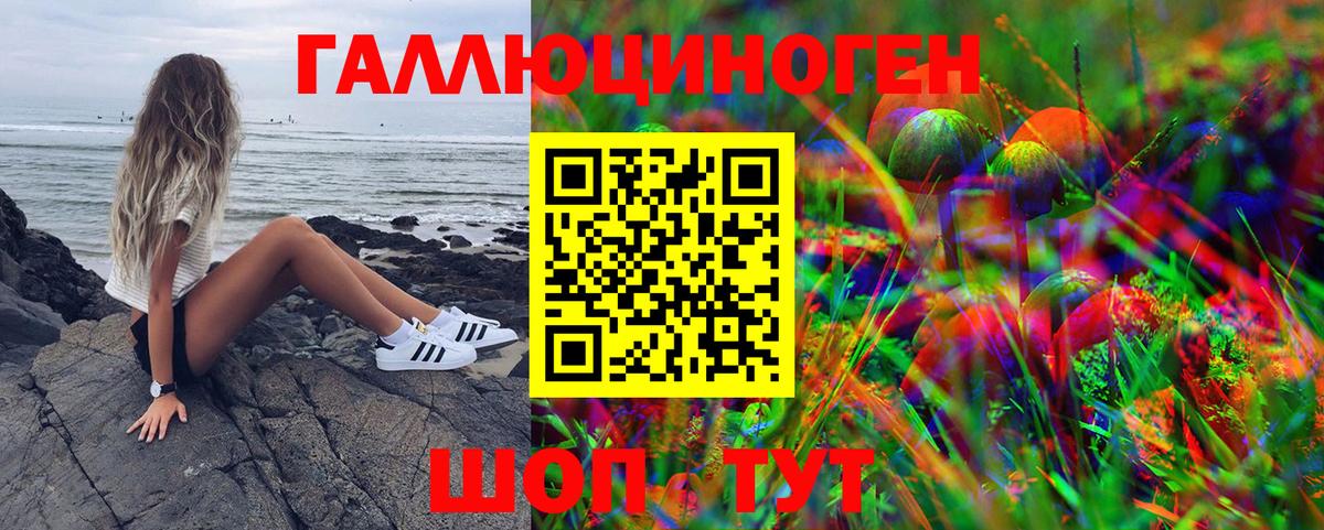 Галлюциногенные грибы мицелий  Галлюциногенные грибы Psilocybine cubensis  Каменка  Вход с VPN 